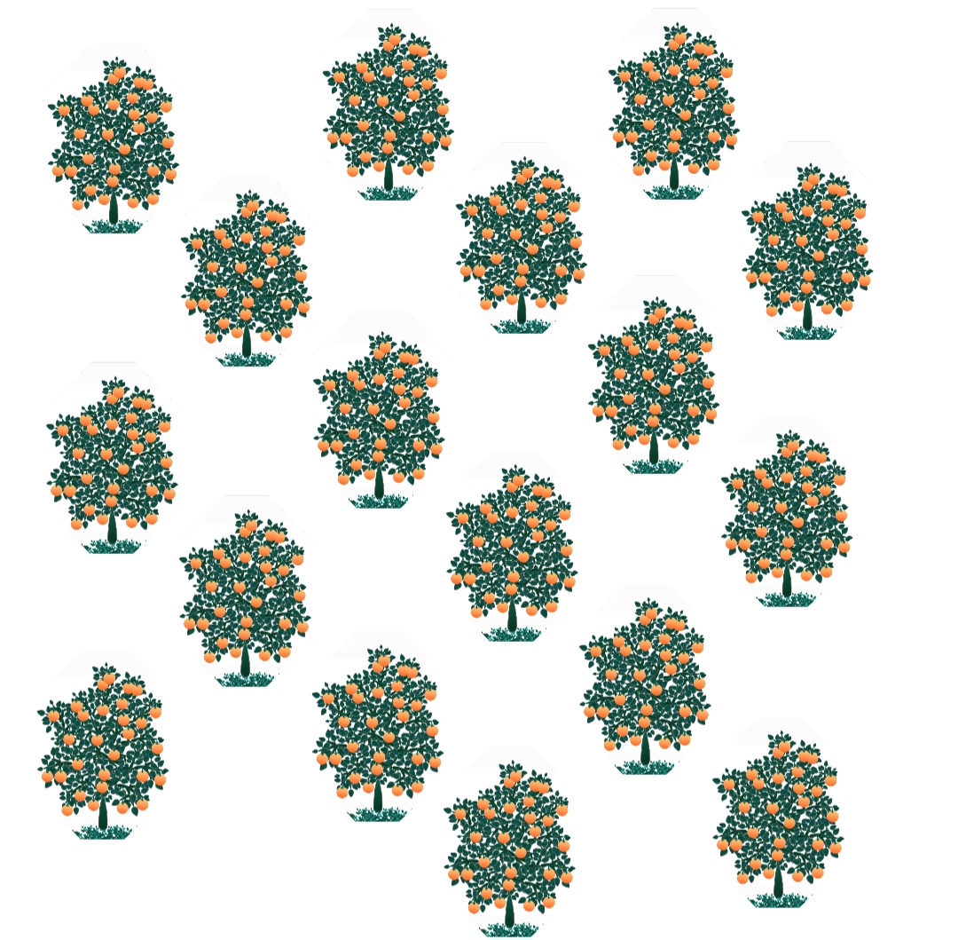 Ovoloval ©️ Ovoloval ©️
